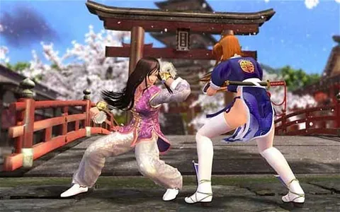 Dead or Alive Dimensions – In-game