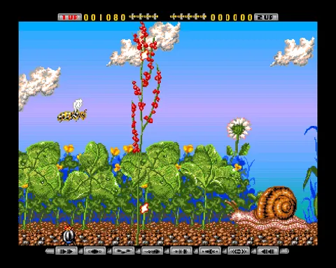 Apidya – En jeu