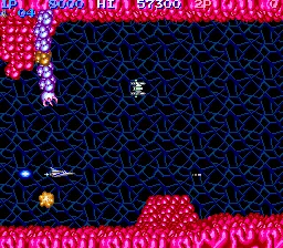 Salamander – En jeu