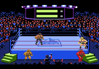 Title Match Pro Wrestling – Aus dem Spiel