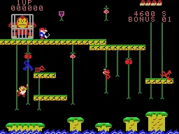 Donkey Kong Junior – Aus dem Spiel