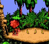Donkey Kong Country (GBC) – In-game