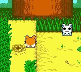 Hamtaro: Ham-Hams Unite! – En jeu