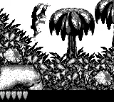 Donkey Kong Land – In-game