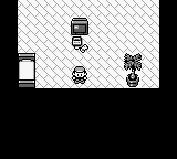 Pokémon Red / Blue / Yellow – Ze hry