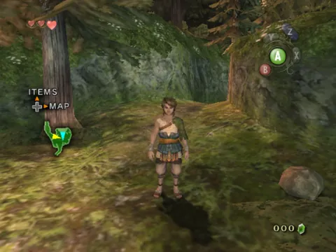 The Legend of Zelda: Twilight Princess – Ze hry