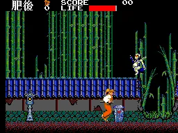 Kenseiden – En jeu