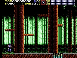 Ninja Gaiden – Aus dem Spiel