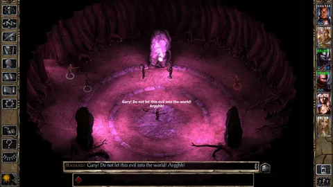 Baldur's Gate II: Enhanced Edition – In-game