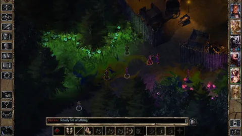 Baldur's Gate II: Enhanced Edition – In-game