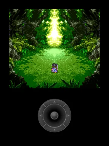 Dragon Quest III – In-game
