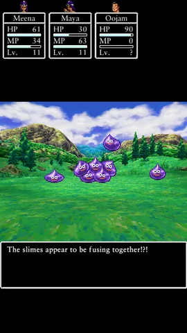 Dragon Quest IV: Chapters of the Chosen – In-game
