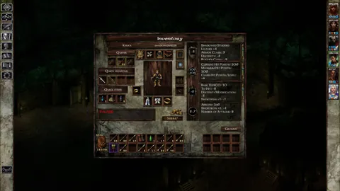 Icewind Dale: Enhanced Edition – In-game