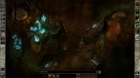 Icewind Dale: Enhanced Edition – In-game