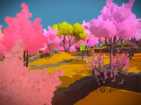 The Witness – En jeu