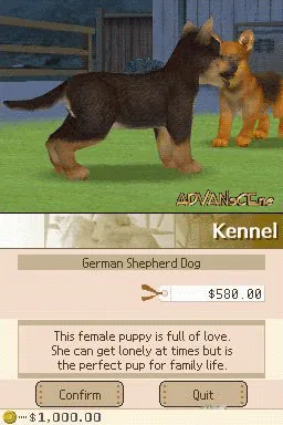 Nintendogs – In-game