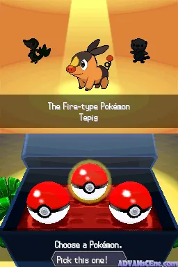 Pokemon: Black Version – En jeu