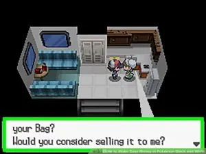 Pokémon: White Version – Ze hry