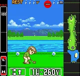 Neo Turf Masters – Ze hry