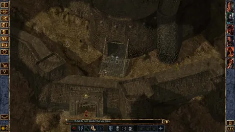 Baldur's Gate – En jeu