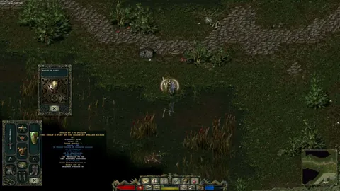 Divine Divinity – Ze hry