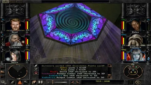 Wizardry 8 – Ze hry