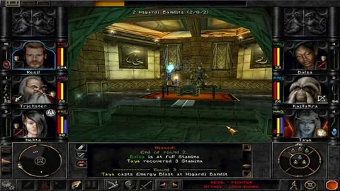 Wizardry 8 – Ze hry