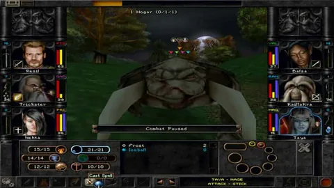 Wizardry 8 – Ze hry