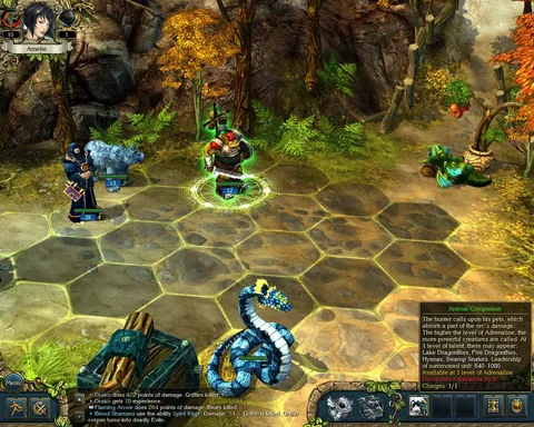 King's Bounty – Ze hry