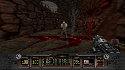 Shadow Warrior – In-game