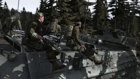 Arma 2 – En jeu