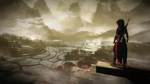 Assassin's Creed Chronicles: China – Aus dem Spiel