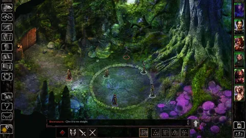 Baldur's Gate: Siege of Dragonspear – En jeu