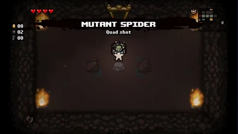 The Binding of Isaac: Rebirth – En jeu