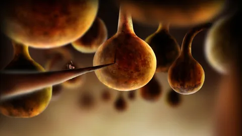 Botanicula – Aus dem Spiel