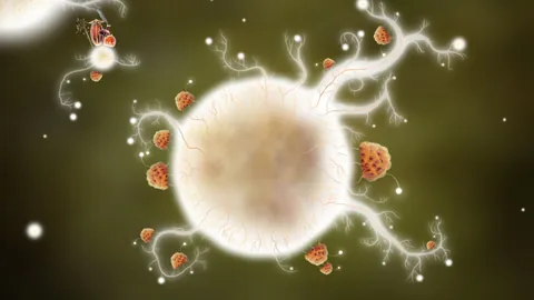 Botanicula – Aus dem Spiel