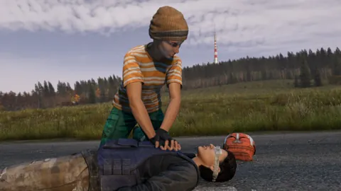 DayZ – In-game