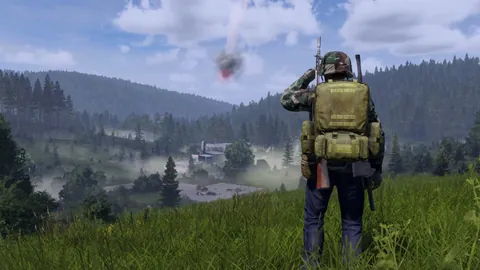 DayZ – In-game