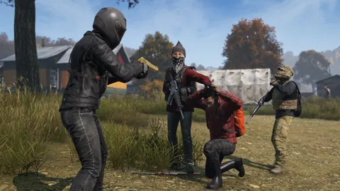 DayZ – In-game
