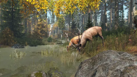 DayZ – In-game