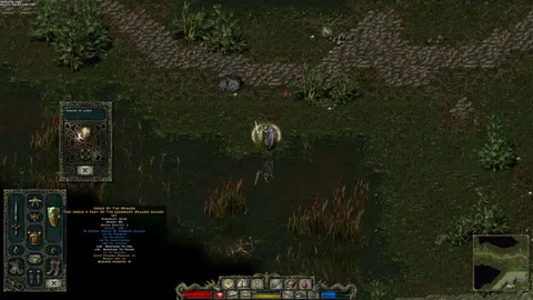Divine Divinity – In-game