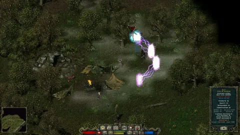 Divine Divinity – In-game