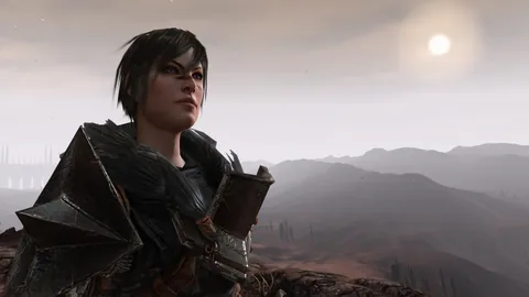 Dragon Age II – En jeu