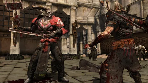 Dragon Age II – En jeu