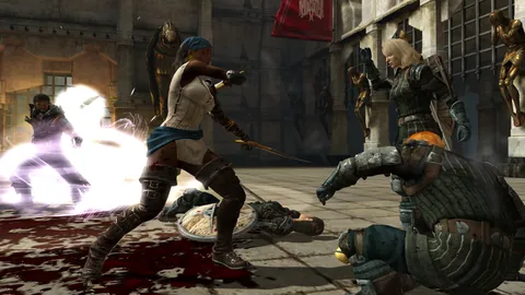 Dragon Age II – En jeu