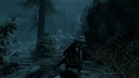 The Elder Scrolls V: Skyrim Special Edition – Ze hry