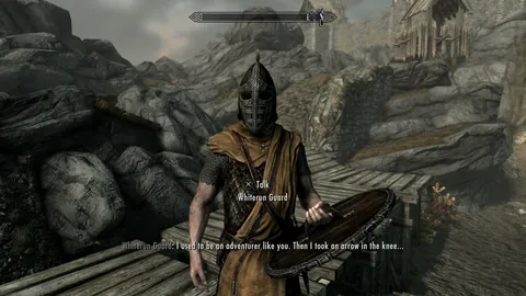The Elder Scrolls V: Skyrim Special Edition – Ze hry