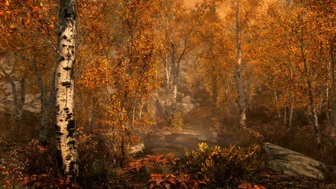 The Elder Scrolls V: Skyrim Special Edition – Ze hry