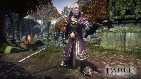 Fable Anniversary – In-game