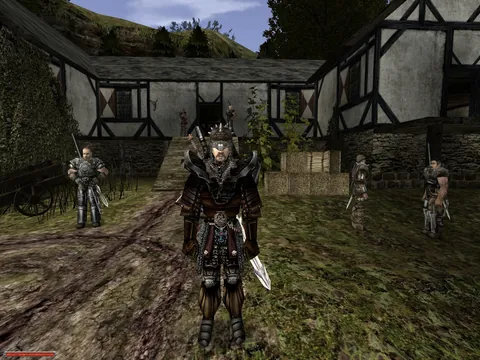 Gothic II – Ze hry